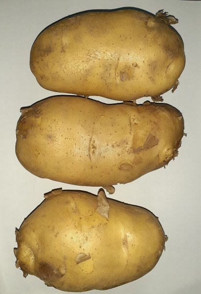 Foto de Batata inglesa